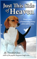 Buy Just This Side of Heaven by Timothy Glass
