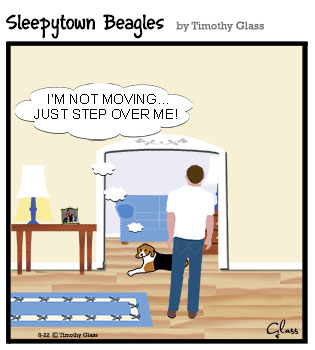 Sleepytown beagles Cartoon