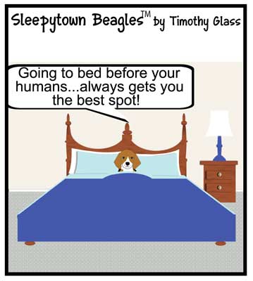 Sleepytown beagles Cartoon