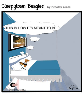 Sleepytown beagles Cartoon