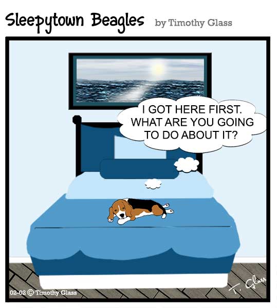 Sleepytown beagles Cartoon