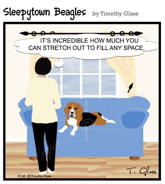 Sleepytown beagles Cartoon