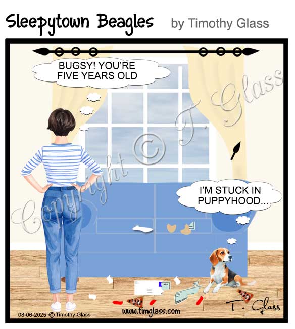 Sleepytown beagles Cartoon