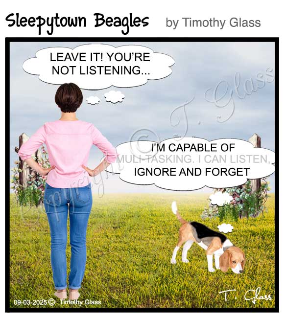 Sleepytown beagles Cartoon