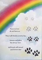 Rainbow Petloss