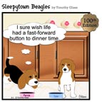 Sleepytown beagle cartoon