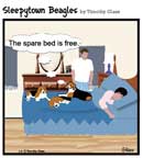 Sleepytown beagle cartoon