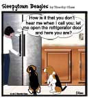 Sleepytown beagle cartoon