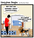 Sleepytown beagle cartoon