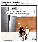 Sleepytown beagle cartoon