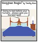 Sleepytown beagle cartoon