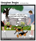 Sleepytown beagle cartoon