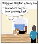 Sleepytown beagle cartoon