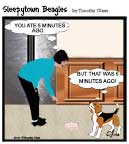 Sleepytown beagle cartoon