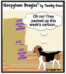 Sleepytown beagle cartoon