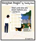 Sleepytown beagle cartoon