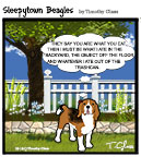 Sleepytown beagle cartoon