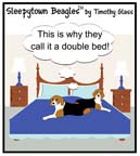 Sleepytown beagle cartoon