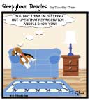 Sleepytown beagle cartoon