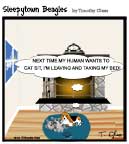 Sleepytown beagle cartoon