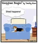 Sleepytown beagle cartoon