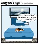 Sleepytown beagle cartoon