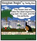 Sleepytown beagle cartoon