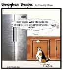 Sleepytown beagle cartoon