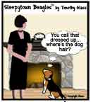 Sleepytown beagle cartoon