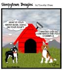 Sleepytown beagle cartoon