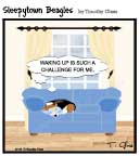 Sleepytown beagle cartoon