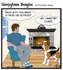 Sleepytown beagle cartoon