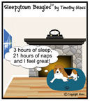 Sleepytown beagle cartoon