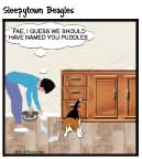 Sleepytown beagle cartoon