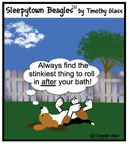 Sleepytown beagle cartoon