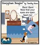 Sleepytown beagle cartoon