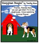 Sleepytown beagle cartoon