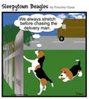 Sleepytown beagle cartoon